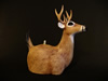Buck Deer Oil Candle